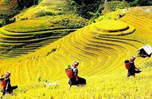 Sapa 2 Day Trekking with 1 Night Homestay