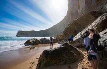 12 Apostles Great Ocean Road Eco Tour with lunch from Melbourne