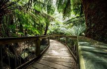 Melbourne to Adelaide 3 Day Southern Coast Overland Tour
