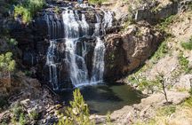 2-Day Great Ocean Road and Grampians Tour Roundtrip from Melbourne