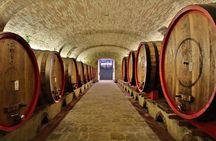 SMALL-GROUP Wine Safaris: Tuscan Wine Tasting Tours from Florence