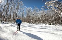 Lake Mountain Snow Trip including Yarra Valley Chocolaterie from Melbourne