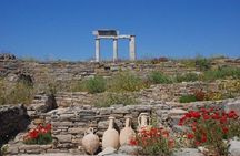 Delos Tour from Mykonos