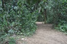 Cave Kayaking and Ziplines Private Tour