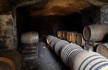 Unique EnoBike experience with tasting in 2 excellent wineries