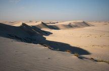  Desert safari, Dune bashing, sandboarding, camel, ATV Option