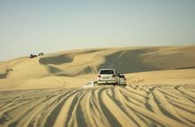  Desert safari, Dune bashing, sandboarding, camel, ATV Option