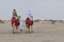 Doha Combo City And Half Day Desert Safari Tour No Hidden cost