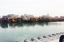 Doha Combo City And Half Day Desert Safari Tour No Hidden cost