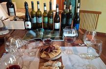 A Sample Of Wine, A Sample Of Istria - A Short But Fulfilled Program