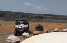 Buggy Tours in Curacao