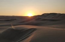 Sunrise Desert Safari in Qatar: An Unforgettable Adventure