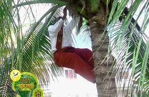 The AMAZING Montego Bay Tour