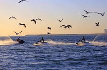 Jet Ski Fun in Agadir – 30min Ride