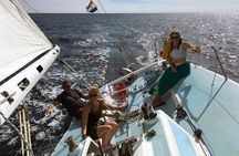 Private - Active Full day Sailing on a yacht from Dubrovnik (up to 8 travellers)