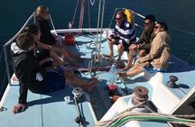 Private - Active Full day Sailing on a yacht from Dubrovnik (up to 8 travellers)