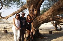 Half Day Desert Tour