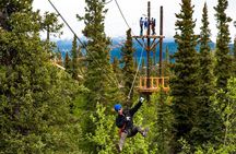 Denali Park Zipline Adventure