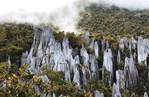 3 Days 2 Nights Unesco World Heritage Mulu 4 Showcaves