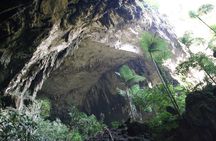 4 Days 3 Nights Mulu 4 Showcaves with Pinnacles 