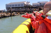 San Francisco Bay Adventure Sightseeing Cruise