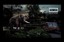 Night Safari Tour with Transfer