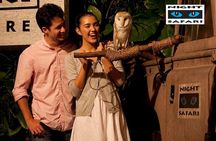 Night Safari Tour with Transfer