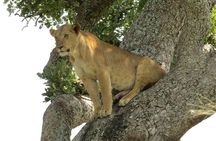 2 Days Popular Safari to Lake Mburo National Park