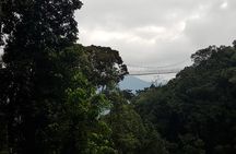 Three-day Nyungwe Canopy and Kivu Lake Adventure