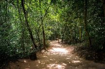 Cu Chi Tunnels and Mekong Delta 1 Day Tour With Small Group