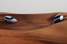 Bedouin BBQ in the Egyptian Desert by 4x4