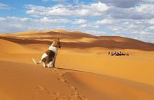 Fes to Fes 3 days Private Desert Tour 