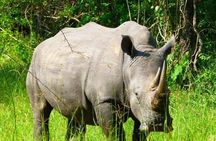 Zziwa Rhino Sanctuary Walking Safari 