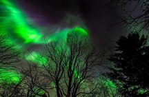 Northern Lights Tour from Reykjavik with Lifetime Guarantee