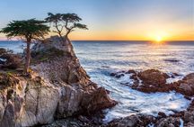 Full Day Tour from San Francisco
