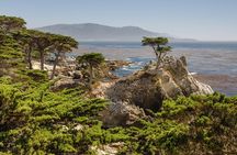 Full Day Tour from San Francisco