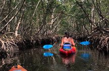 Mangrove Tunnels Pedal Kayak Eco-Tour in Anna Maria