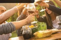 Franschoek wine tour