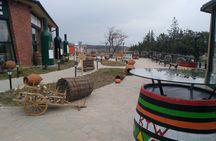 Kakheti-Sighnaghi Day Trip with wine tasting and Bodbe Monastery