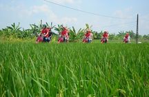 Hanoi Vespa Tours: Hanoi Vintage Vespa Tours Countryside 