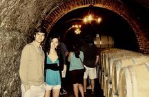 Ribera del Duero Winery Guided Tour and Wine Tasting from Madrid