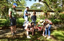 Nature walk at Mistico Park Hanging Bridges 