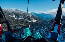 Superfly Ziplines on Cougar Mountain - Includes 4 Ziplines!