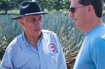 Full-Day Tequila Tour from Guadalajara