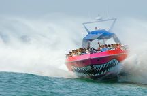 Boston Codzilla High-Speed Thrill Boat Ride