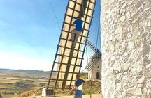Windmills of Don Quixote Wine Tour & Tasting from Madrid