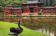 Oahu Island Photography Tour