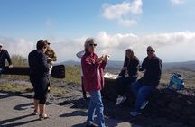 Best Shore Excursion Etna, Taormina, Messina With Tasting Of Sicilian Products