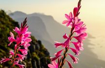 Hike Table Mountain via the India Venster trail