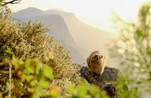 Hike Table Mountain via the India Venster trail